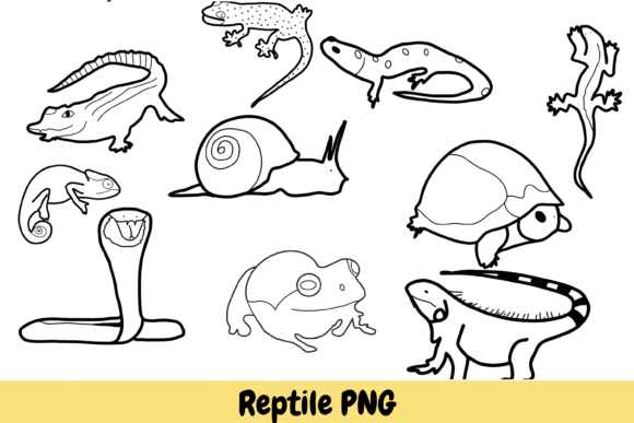 Download Reptile Animal Hand Drawn PNG - Premium Bundle